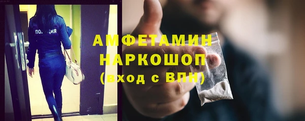молекула духа Няндома