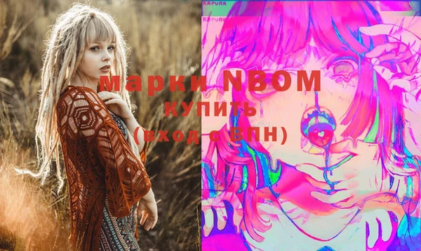СК Новодвинск