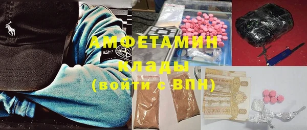 молекула духа Няндома