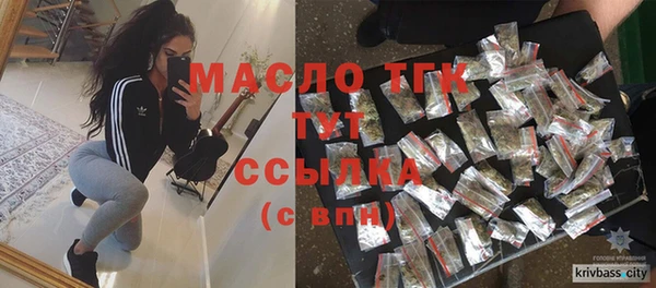 молекула духа Няндома