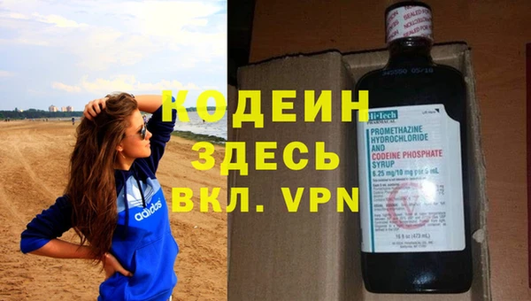 молекула духа Няндома