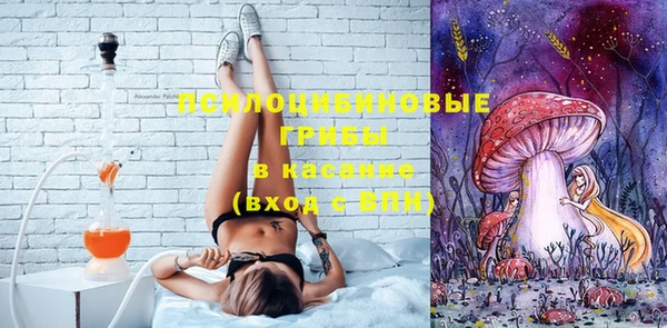 молекула духа Няндома